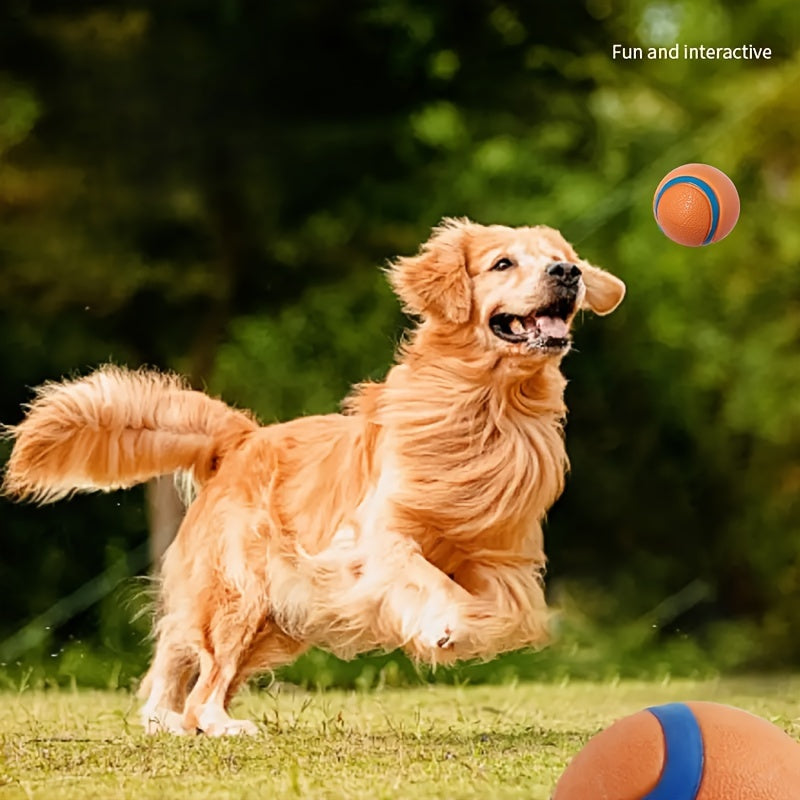 Bouncy Pet Ball