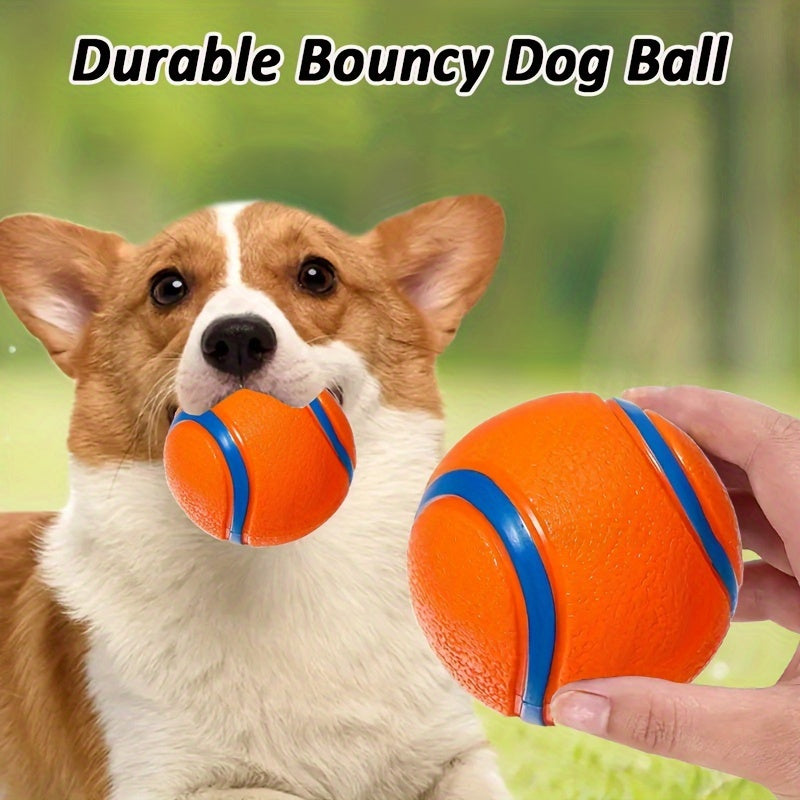 Bouncy Pet Ball