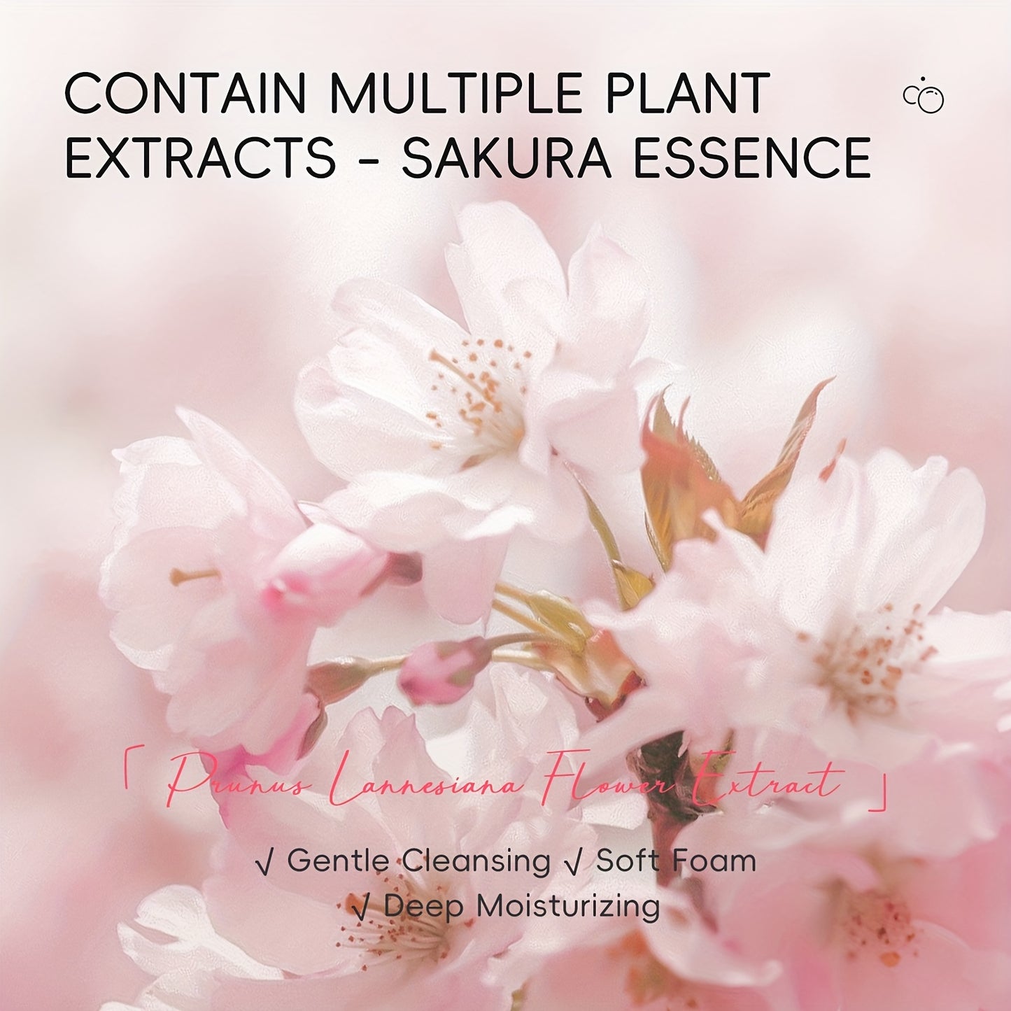 10pcs Japan Sakura Skin Care Kit For All Skin Types