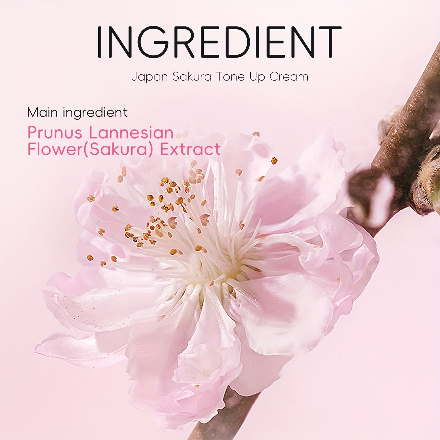 Sakura Tone UP Cream